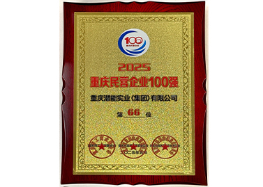 重庆民营企业100强